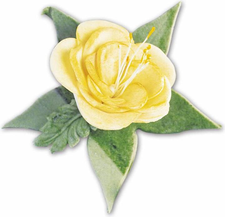 Produktbild Städter Rosen & Blüten ø 30 / 35 / 45 / 50 mm Weiss
