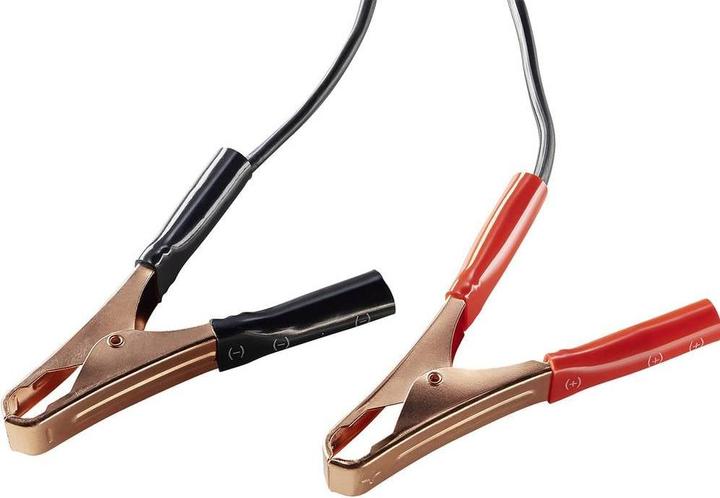 Produktbild AEG Ladegerät Werk (6V, 12V, 15 A)
