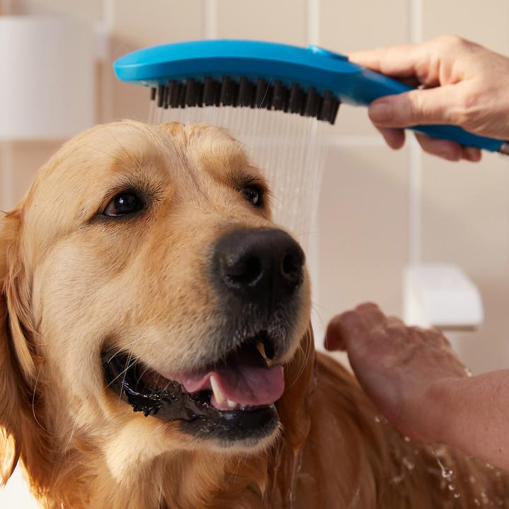 Produktbild hansgrohe DogShower Hundebrause 150 Select (3 Strahlarten, 7.60 l/min)