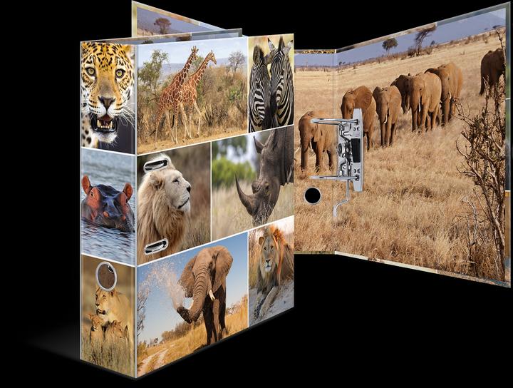 Actual product image HERMA A4 folder motif (A4, 70 mm, 1 Piece)