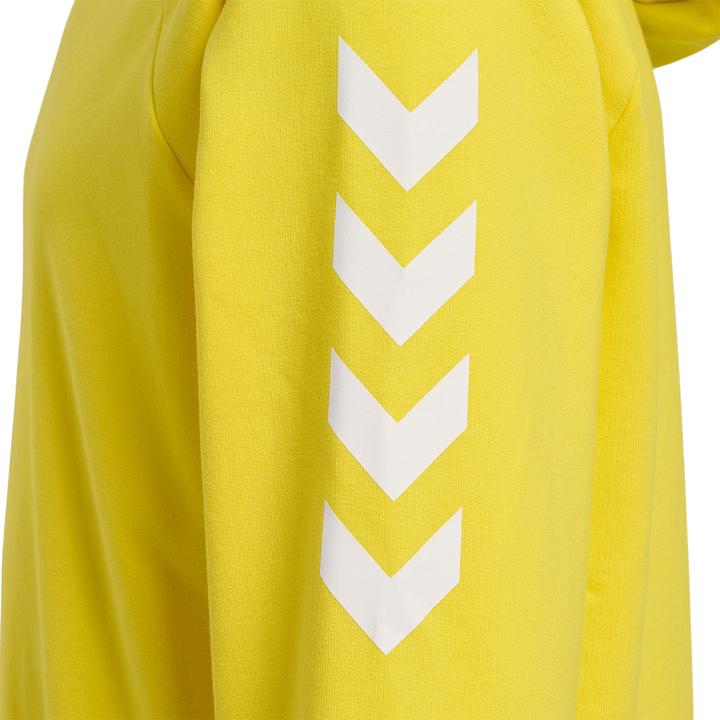 Immagine prodotto hummel Go Kids Felpa Con Cappuccio In Cotone (176)