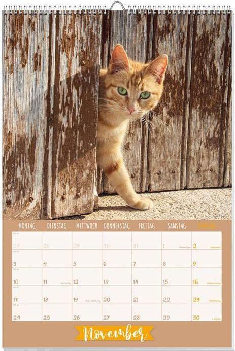 Image du produit Katzen Posterkalender 2025 (Allemand)