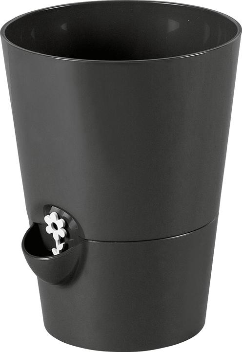 Image du produit Emsa Herbes fraîches (13 cm)