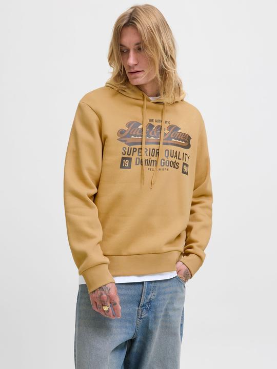 Produktbild Jack & Jones JJELOGO SWEAT HOOD 2 COL 25/26 NOOS (XS)