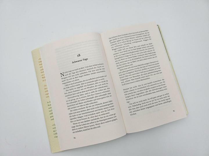 Actual product image Piper Die Unvollkommenheit des Glücks (German, Clara Maria Bagus, 2024)