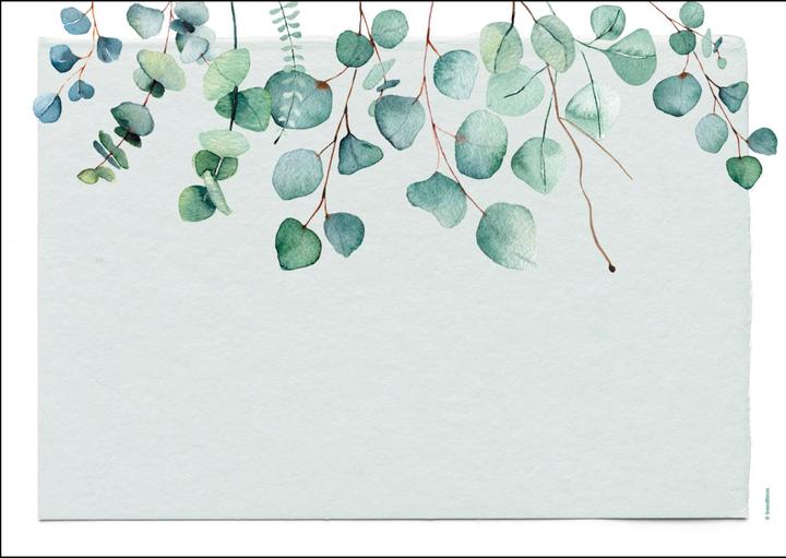 Immagine prodotto Trendform Eucalyptus (48 pz., 42 x 30 cm)