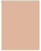 Produktbild Wet n Wild Bare Focus Niacinamide Skin Tint - Light Moisturizing Foundation 32 ml Light Medium (Light Medium)