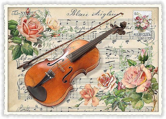 Produktbild Edition Tausendschön Postkarte / Violine / quer / blanko