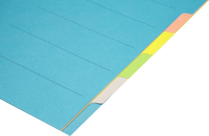 Actual product image Biella Cardboard tab