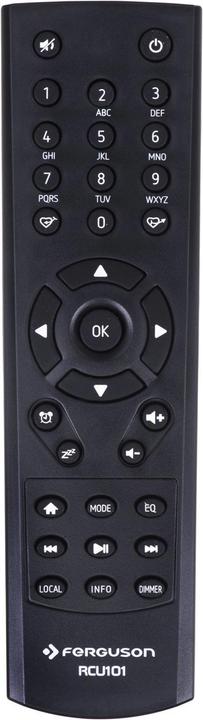 Actual product image Ferguson Regent i100 (DAB, FM, DAB+, Web radio, Bluetooth, Wi-Fi)