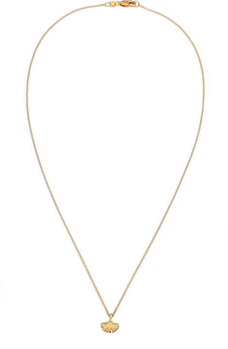 Produktbild Elli PREMIUM Halskette Ginkgo Blatt Anhänger Natur 375er Gelbgold (375 Gelbgold, 45 cm)