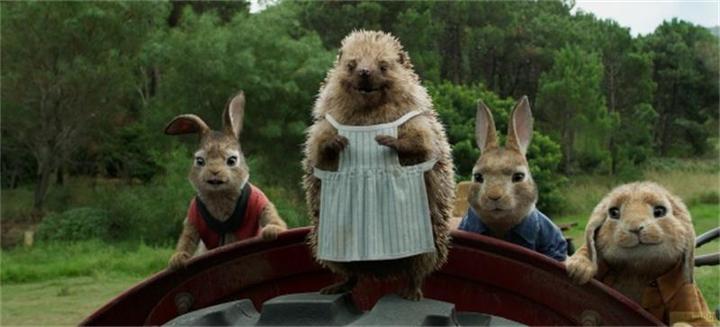 Produktbild Peter Hase (DVD, 2018, Deutsch)