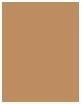 Actual product image Clarins Everlasting Youth Fluid - Amber 112 (112 Amber)