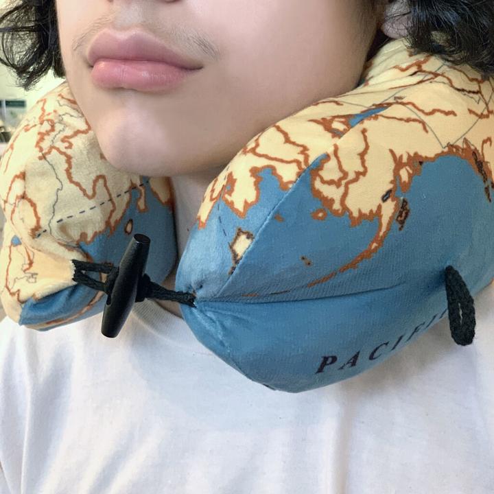 Actual product image Kikkerland Map (Head & neck pillow)