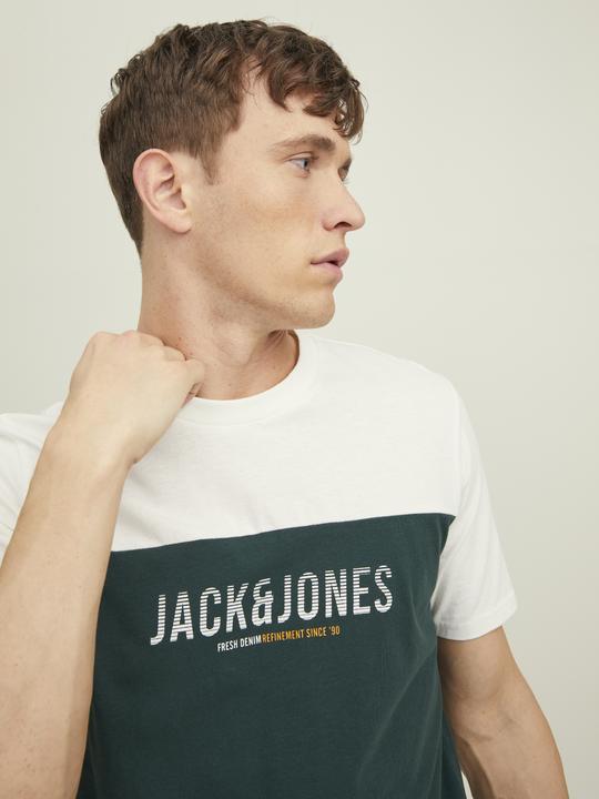 Actual product image Jack & Jones Colorblock T-Shirt (S)