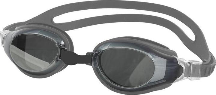 Actual product image Swim & Fun Swimming goggles Aqua-speed Champis silver 26 038 (One size)