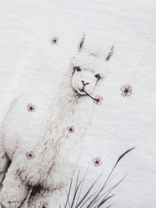 Actual product image Chillaz Women's Leoben Alpaca Meadow T-Shirt (42, XL)