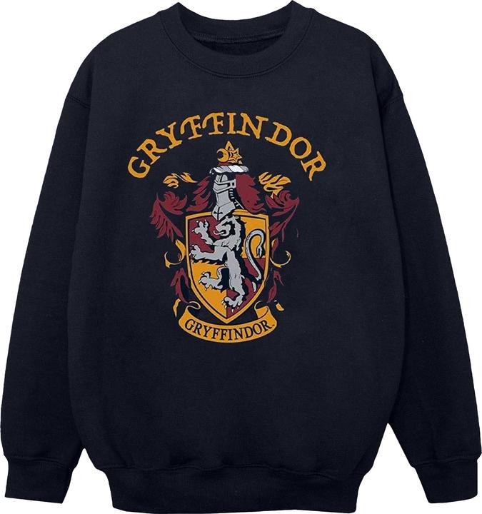 Sweatshirt Jungen