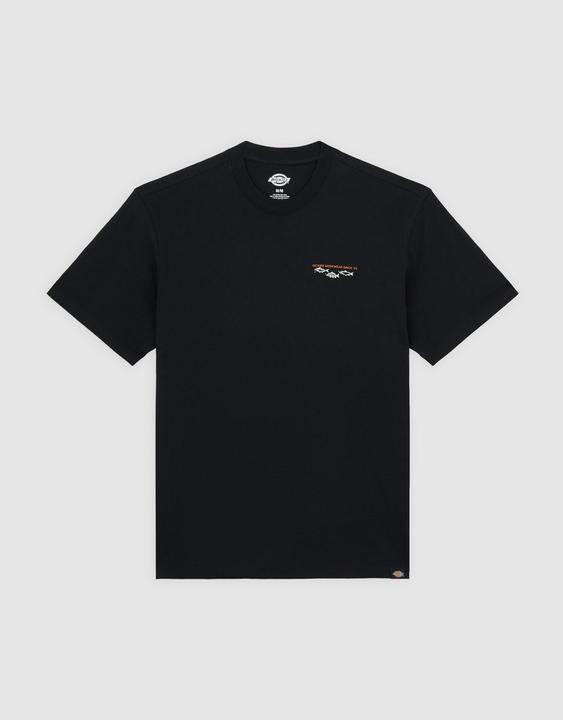 Actual product image Dickies Laryville Tee SS (XS)