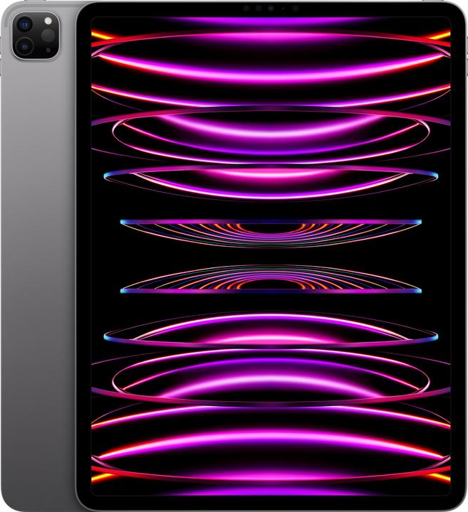 Actual product image Apple iPad Pro 2022 (6th Gen) (WLAN only, 12.90", 2000 GB, Space Grey)