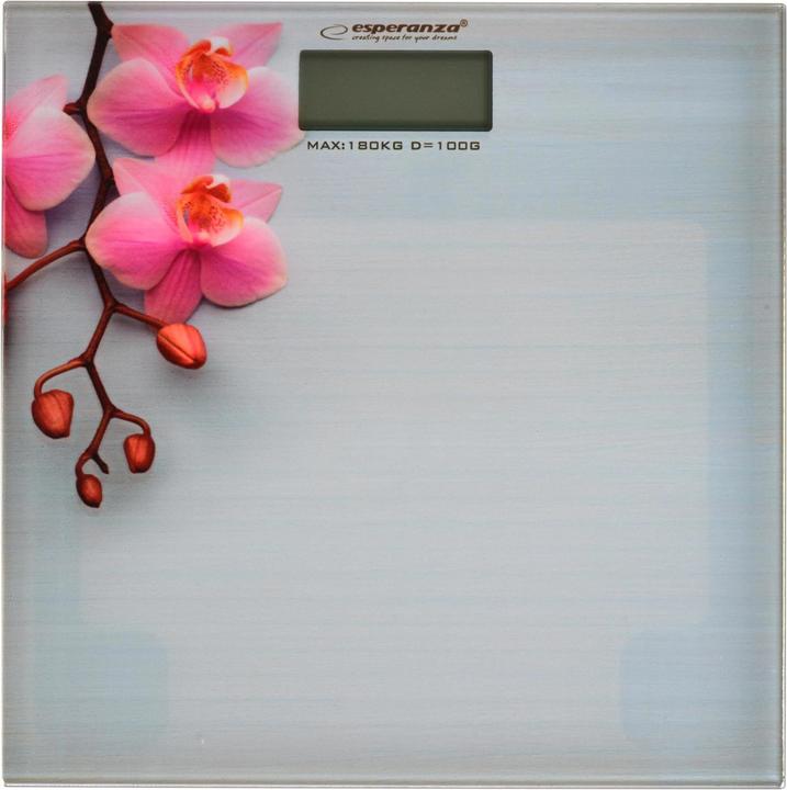Actual product image Esperanza Weighing scale bathroom Orchid EBS010 (pilka color) (180 kg)