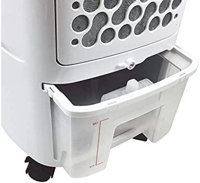 Actual product image Beper Fan for P206RAF100