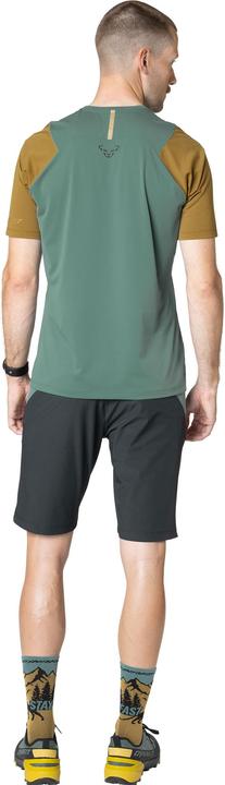 Actual product image Dynafit Transalper Light Dynastretch Shorts Herren (L)