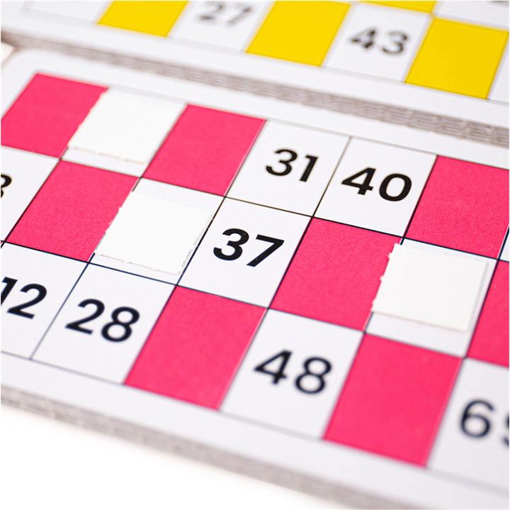 Actual product image Bigjigs Bingo game (German, French, Italian, English)
