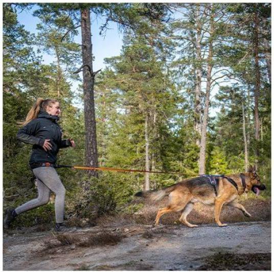 Produktbild Non-Stop Dogwear ROCK Atmungsaktiv Brustgeschirr Hundegeschirr (L, Hund, Allgemein)
