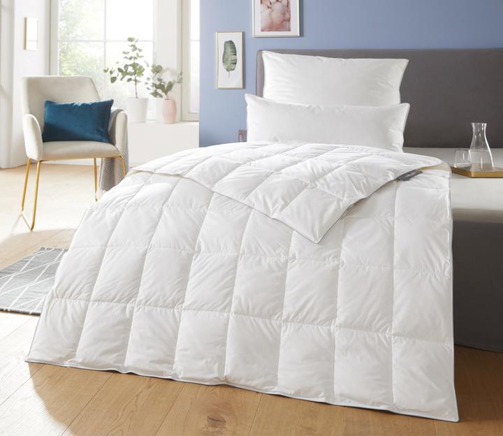 Produktbild Badenia Trendline Daunendecke Comfort leicht (900 g, 155 x 220 cm)
