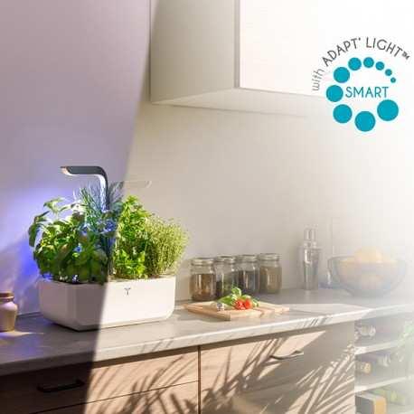 Actual product image Véritable VERITABLE CONNECT Indoor Garden gold incl 4 Packs (18.50 cm)