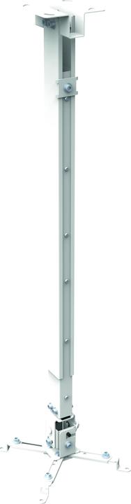 Reflecta Ceiling mount Tapa L 700-1200mm (Ceiling)