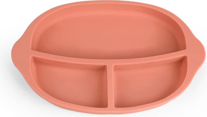 Actual product image Haakaa Silicone Divided Plate- Rust