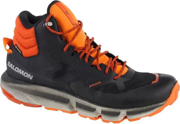 Salomon Predict Hike Mid Gtx 417368 43 1/3 (43 1/3)
