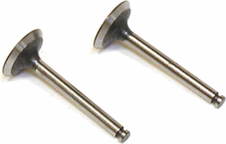 Produktbild Saito VALVE-IN/OUT (PR)