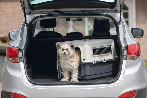 Immagine prodotto Karlie Scatola di trasporto nomade (Cane, Gatto, Chiudibile a chiave)