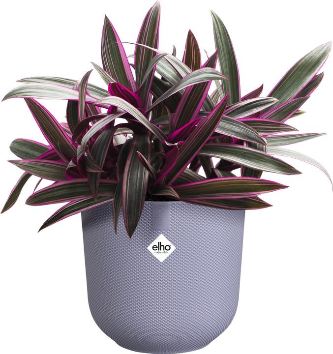 Produktbild Elho Jazz Rund (18.90 cm)