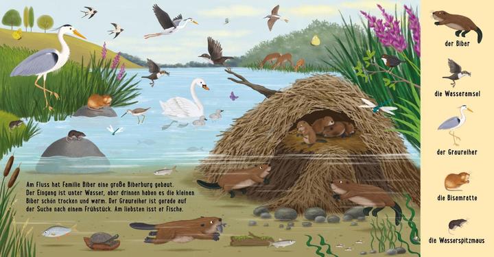 Produktbild Mein erstes Natur-Wimmelbuch: Tiere am Wasser (Deutsch, Sibylle Schumann, 2022)