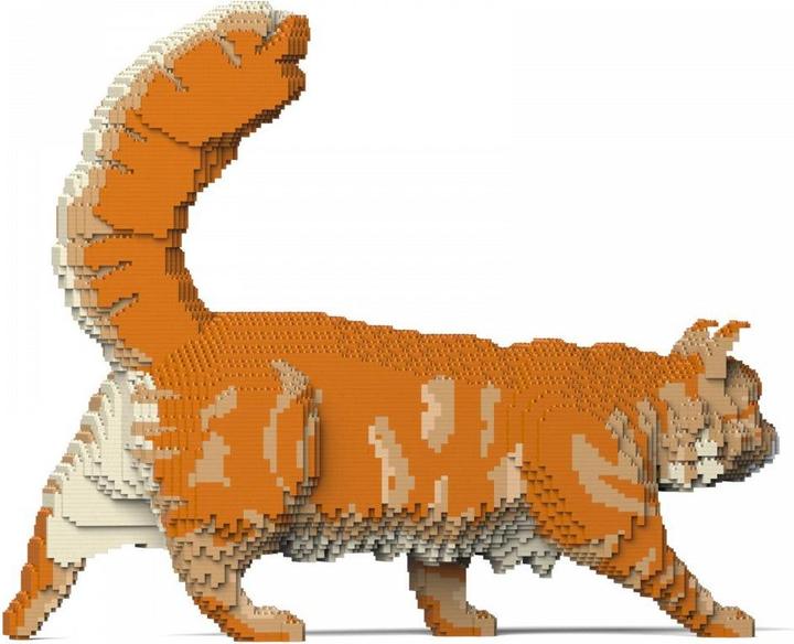 Produktbild Jekca Limited Orangene Maine Coon Katze