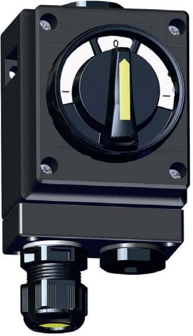 Image du produit Stahl Wechselschalter 8040/11-V30-035-B