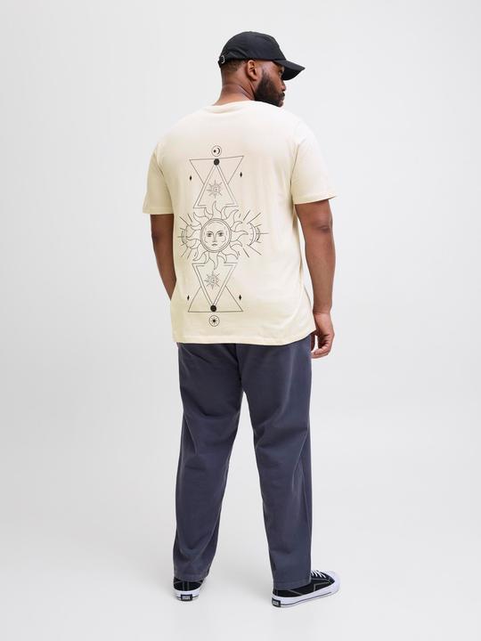 Actual product image Jack & Jones Plus Size Rückenprint T-shirt T-shirt (4XL)