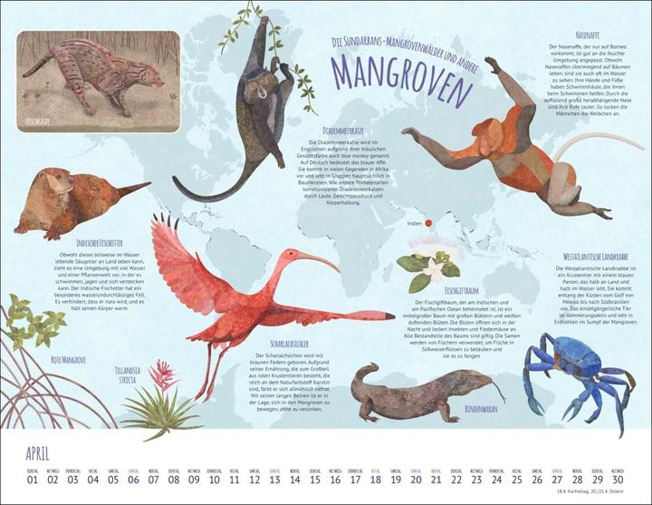 Produktbild Wo Tiere und Pflanzen zu Hause sind Kalender 2025 - Biome der Welt (44 x 34 cm, Harter Einband, Deutsch)