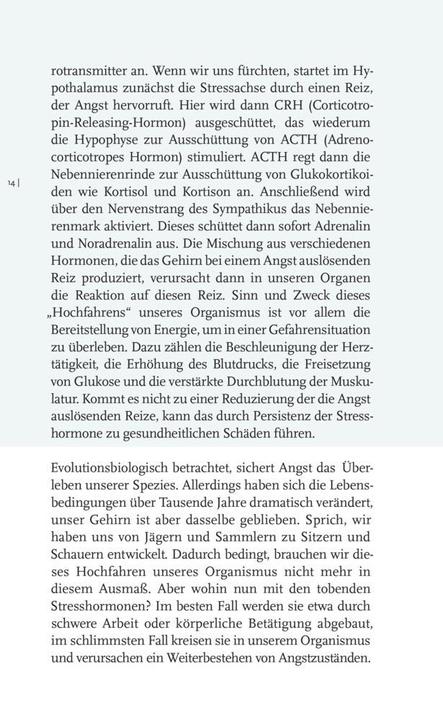 Actual product image Willkommen Angst (German, Constanze Dennig, 2023)