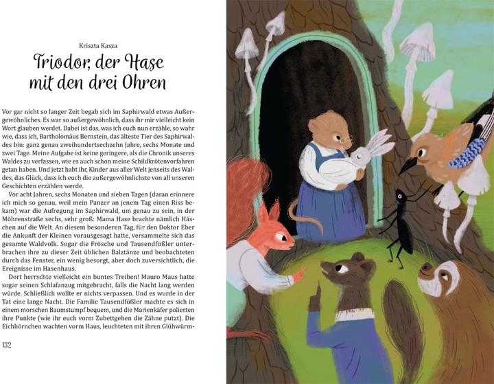 Produktbild Märchenland für alle (Deutsch, Timea Tankó, Christina Kunze, Tünde Malomvölgyi, Lilla Bölecz, Boldizsár M. Nagy, 2022)
