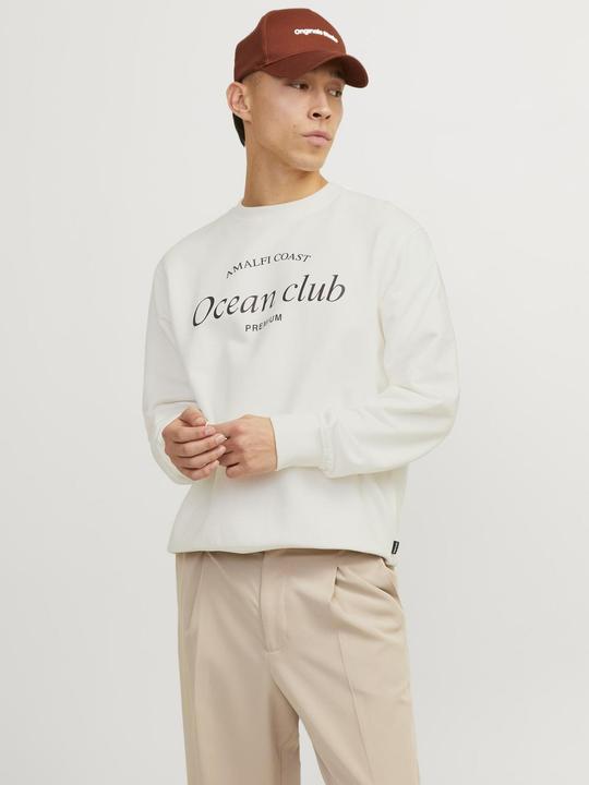 Image du produit Jack & Jones Gedruckt Sweatshirt mit Rundhals Sweatshirt mit Rundhals (XXL)