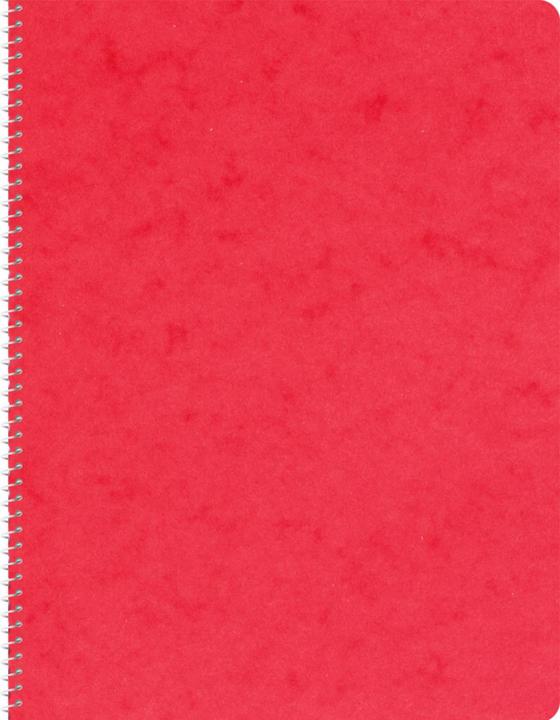Immagine prodotto Novooo Spiralheft assortiert (148 x 210 mm, Quadretti)