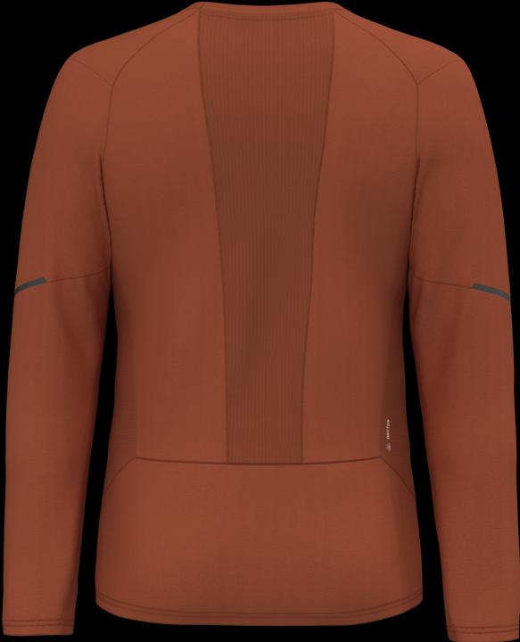 Actual product image Salewa PEDROC DRY Men's L/S TEE. (L)
