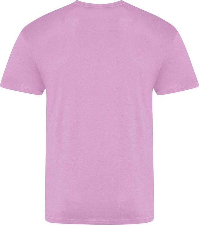 Actual product image Awdis The 100 Tshirt (3XL)