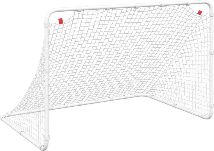 Image du produit VidaXL But de football