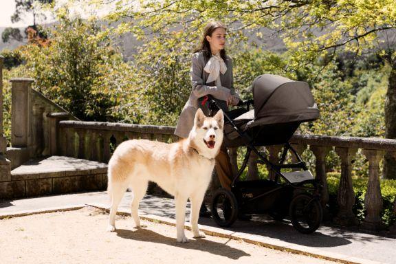 Image du produit Mountain Buggy Urban Jungle Luxury 3.0
